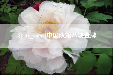 海西中国队第八块金牌