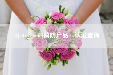 海西消防产品ccc认证查询