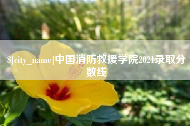 海西中国消防救援学院2021录取分数线