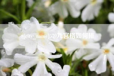 海西579九宫格如何排