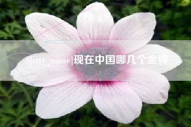 海西现在中国哪几个金牌