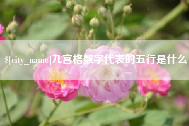 海西九宫格数字代表的五行是什么