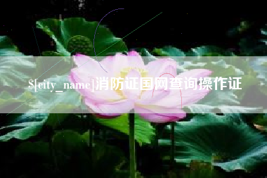 海西消防证国网查询操作证
