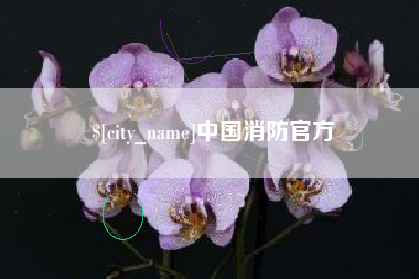海西中国消防官方
