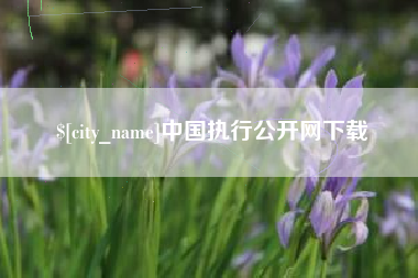 海西中国执行公开网下载