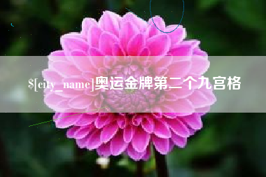 海西奥运金牌第二个九宫格