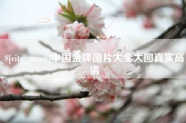 海西中国金牌图片大全大图真实高清