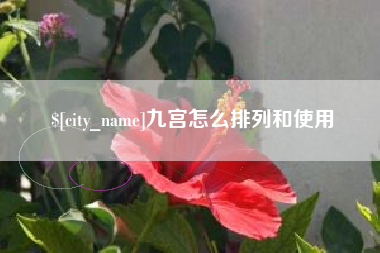 海西九宫怎么排列和使用