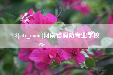 海西河南省消防专业学校