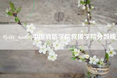 海西中国消防学院救援学院分数线
