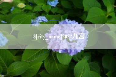 海西2022九宫