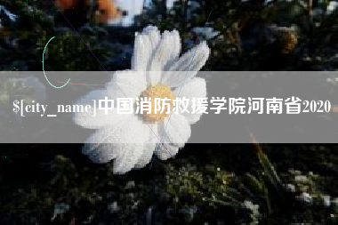 海西中国消防救援学院河南省2020