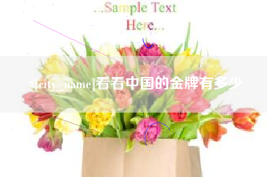 海西看看中国的金牌有多少
